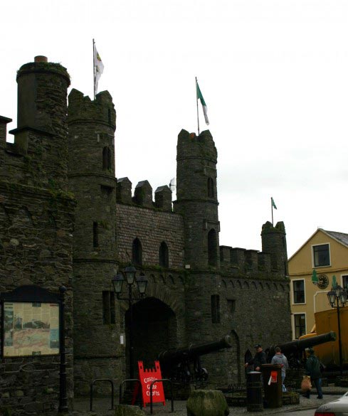 Our Local St. Patrick's Day Preparations