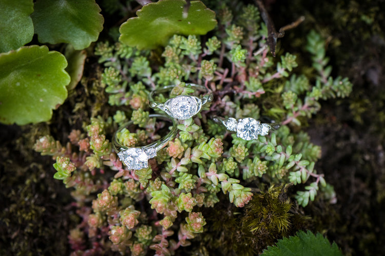 Engagement Rings