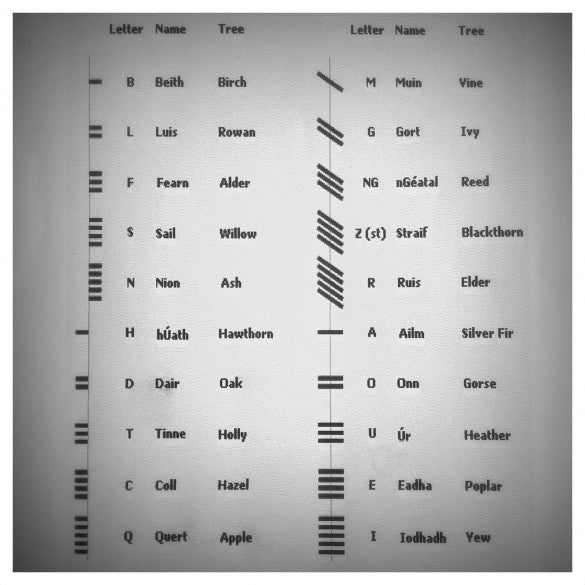 Ogham Alphabet 585x585